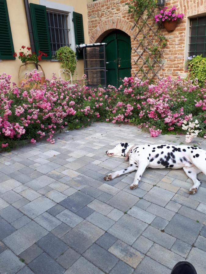 Casa Relax Immersa Nel Verde Della Natura Casalborgone Buitenkant foto