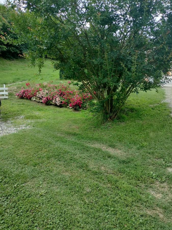 Casa Relax Immersa Nel Verde Della Natura Casalborgone Buitenkant foto