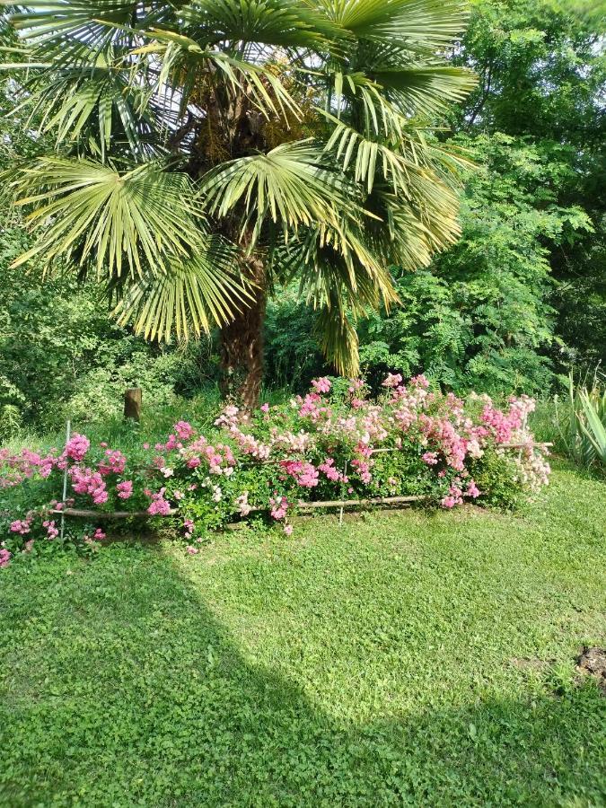 Casa Relax Immersa Nel Verde Della Natura Casalborgone Buitenkant foto