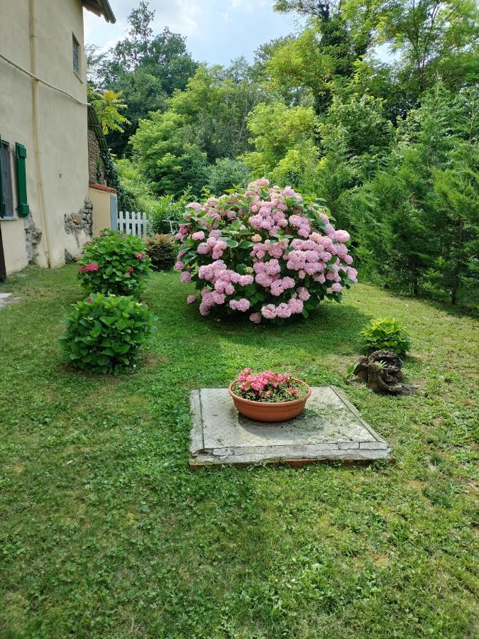 Casa Relax Immersa Nel Verde Della Natura Casalborgone Buitenkant foto