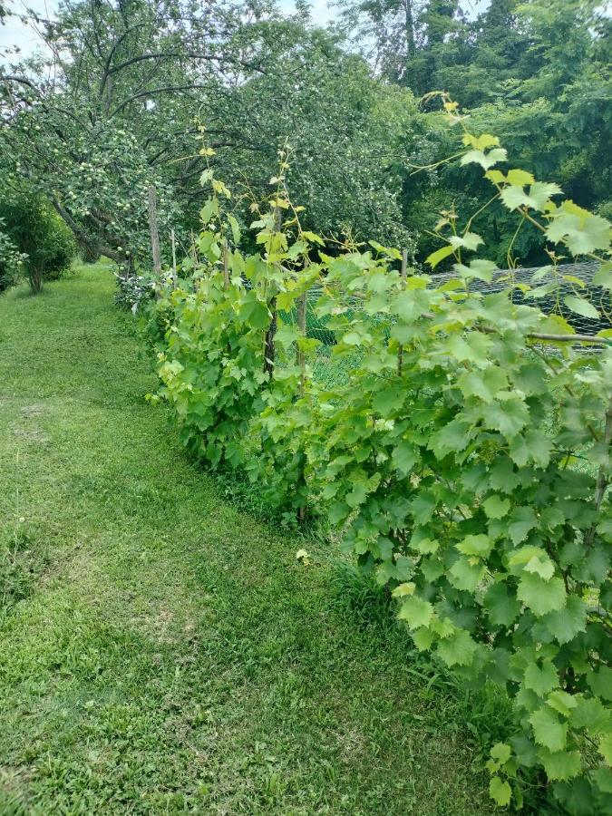 Casa Relax Immersa Nel Verde Della Natura Casalborgone Buitenkant foto