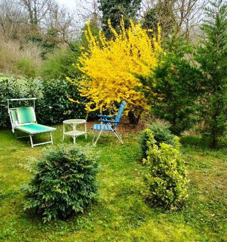 Casa Relax Immersa Nel Verde Della Natura Casalborgone Buitenkant foto